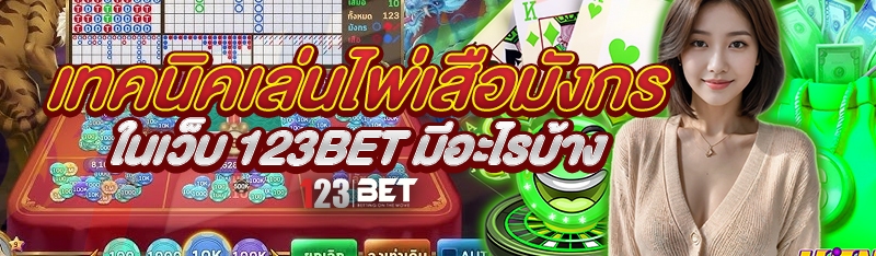 เทคนิคเล่นไพ่เสือมังกร ในเว็บ 123bet มีอะไรบ้าง