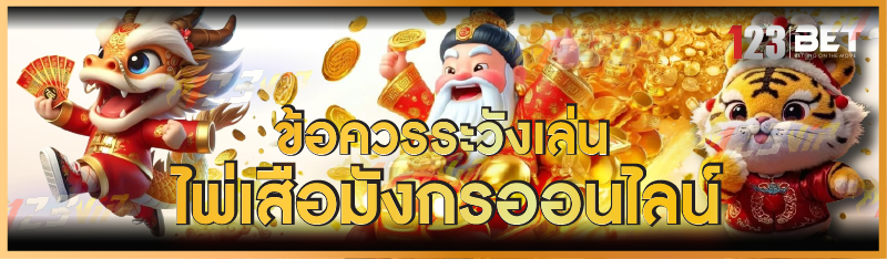 ข้อควรระวังเล่น ไพ่เสือมังกรออนไลน์