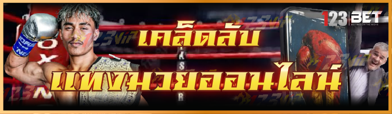 เคล็ดลับ แทงมวยออนไลน์